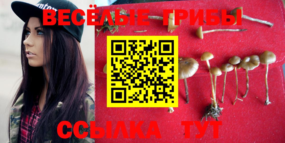 Псилоцибиновые грибы мухоморы Вязьма