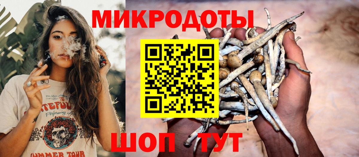 Вязьма  Галлюциногенные грибы MAGIC MUSHROOMS  Псилоцибиновые грибы мицелий  Вход с VPN 